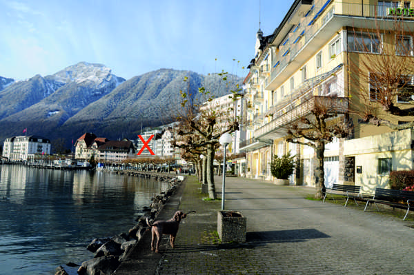 Seepromenade Brunnen