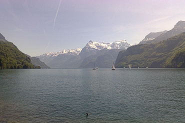 Blick in den Urnersee